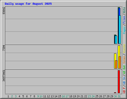 Daily usage for August 2025