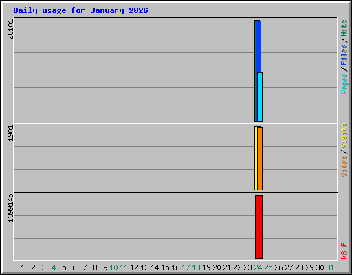 Daily usage for January 2026