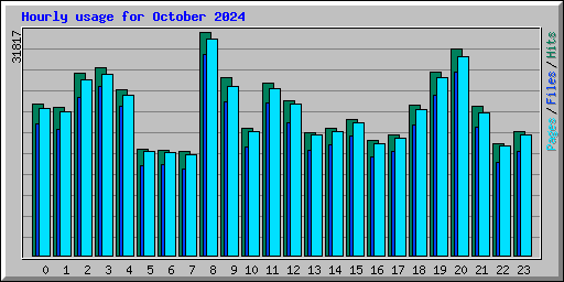 Hourly usage for October 2024