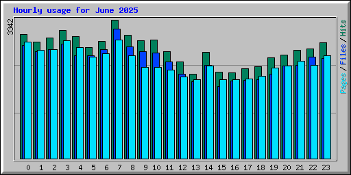 Hourly usage for June 2025
