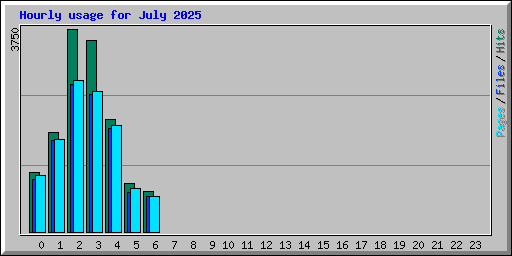 Hourly usage for July 2025