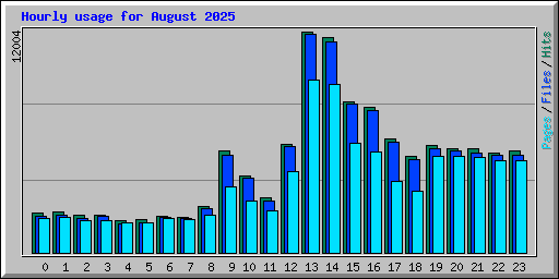 Hourly usage for August 2025
