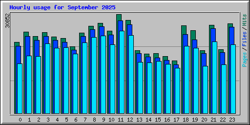 Hourly usage for September 2025