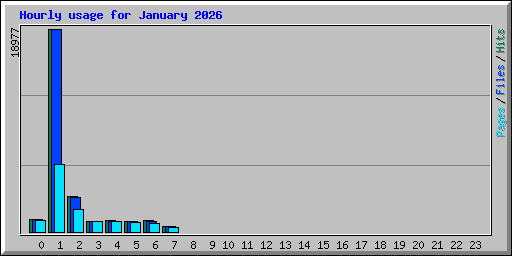 Hourly usage for January 2026