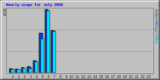 Hourly usage for July 2026